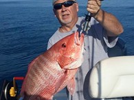Red Snapper