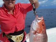 Red Snapper