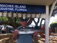 King Mackerel
