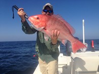 Red Snapper