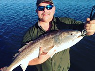Redfish