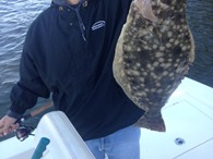 Flounder