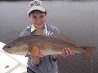 Redfish