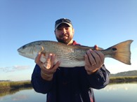 Redfish