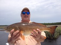 Redfish