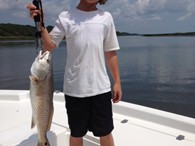 Redfish
