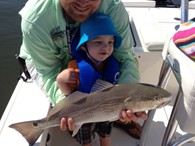 Redfish