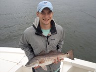 Redfish