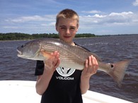 Redfish