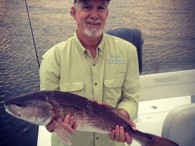 Redfish
