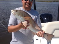 Redfish