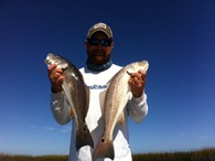 Redfish