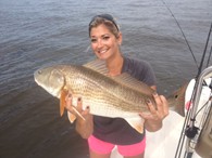 Redfish